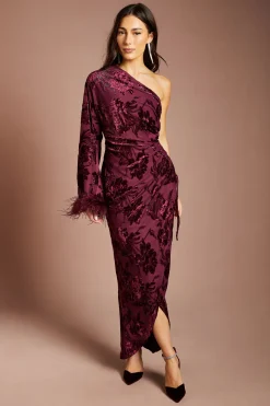 Coast Robe Longue En Velours Dévoré À Épaule Asymétrique Et Manchette À Plumes<Femme Robes|Robes Longues
