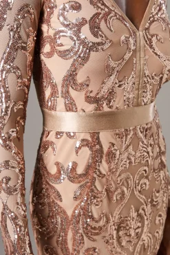 Coast Robe Longue à Manches Longues et Sequins<Femme Robes Bal De Promo|Robes À Manches Longues