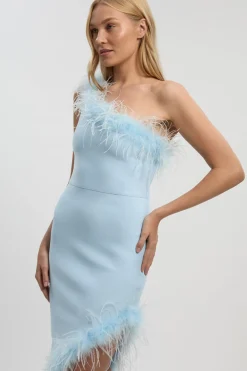 Robe Longue Moulante en Maille Bandage avec Détails Plumes