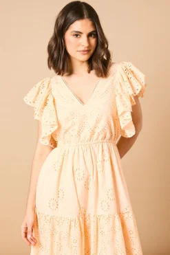 Robe Maxi à Broderie Anglaise Col V et Manches Papillon