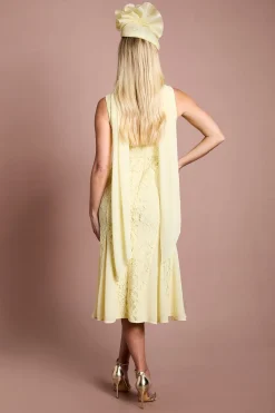 Coast Robe Maxi En Dentelle Avec Détail Foulard Et Godets Petite Lisa Couleur Tan<Femme Toutes Les Robes|Robes Longues