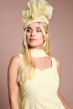 Coast Robe Maxi En Dentelle Avec Détail Foulard Et Godets Petite Lisa Couleur Tan<Femme Toutes Les Robes|Robes Longues