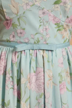 Robe Maxi En Mesh À Imprimé Hortensia Avec Manches Courtes Petite Taille