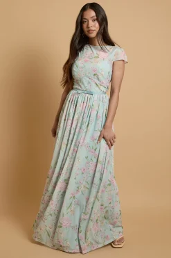 Robe Maxi En Mesh À Imprimé Hortensia Avec Manches Courtes Petite Taille