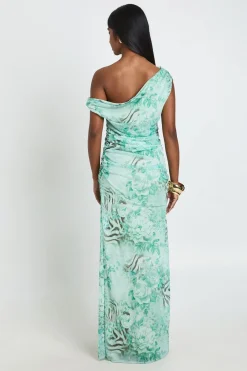 boohoo Robe Maxi En Mesh À Épaules Dénudées Et Imprimé Animalier Mixte<Femme Robes Moulantes|Robes