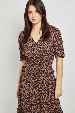 Robe Maxi à Imprimé Léopard avec Corsage Froncé et Détail Boutons Empire
