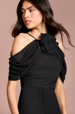 Coast Robe Maxi Plissée À Corsage Et Col Halter Muse<Femme Robes|Robes D’Automne