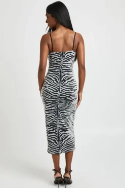 Robe Midaxi En Mesh Imprimé Zèbre