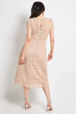 Wallis Robe Midi Ajustée Et Évasée En Dentelle<Femme Toutes Les Robes|Robes Mi-Longues