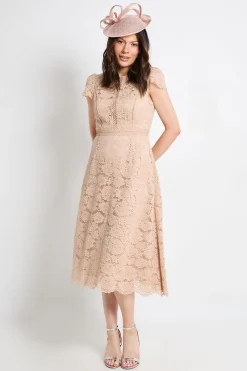Wallis Robe Midi Ajustée Et Évasée En Dentelle<Femme Toutes Les Robes|Robes Mi-Longues
