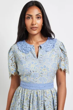 Robe Midi Boutonnée à Col en Dentelle Petite Taille