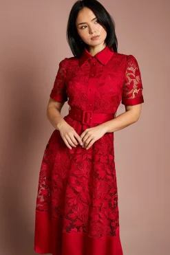 Coast Robe Midi Chemise en Dentelle avec Finitions Satin Petite<Femme Robes Mi-Longues|Satin Et Dentelle