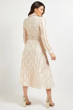 Wallis Robe Midi Chemise En Organza À Pois<Femme Robes Mi-Longues|Pois