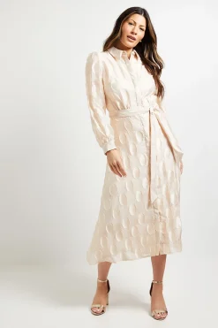 Wallis Robe Midi Chemise En Organza À Pois<Femme Robes Mi-Longues|Pois