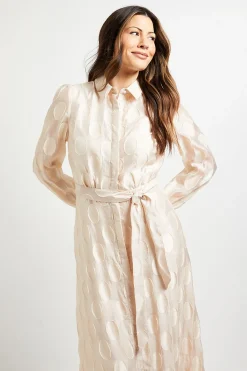 Wallis Robe Midi Chemise En Organza À Pois<Femme Robes Mi-Longues|Pois