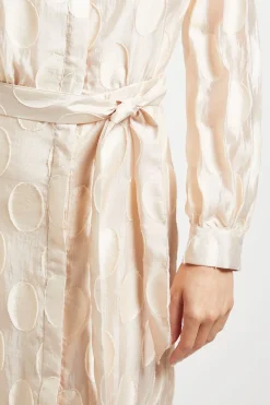Wallis Robe Midi Chemise En Organza À Pois<Femme Robes Mi-Longues|Pois