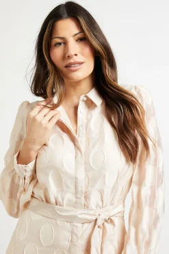 Wallis Robe Midi Chemise En Organza À Pois<Femme Robes Mi-Longues|Pois