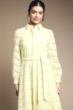 Robe Midi Chemisier En Organza À Broderies Florales