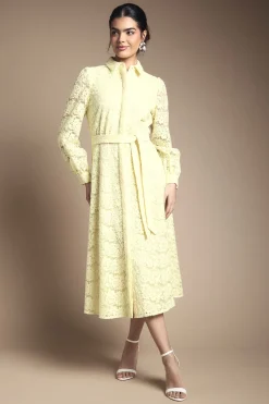 Robe Midi Chemisier En Organza À Broderies Florales