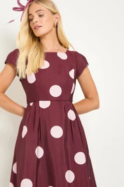 Wallis Robe Midi Cintrée Évasée À Pois Ottoman Petite Taille<Femme Robes Mi-Longues|Robes