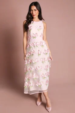Robe Midi Coast Muse À Encolure Américaine En Mesh Brodé