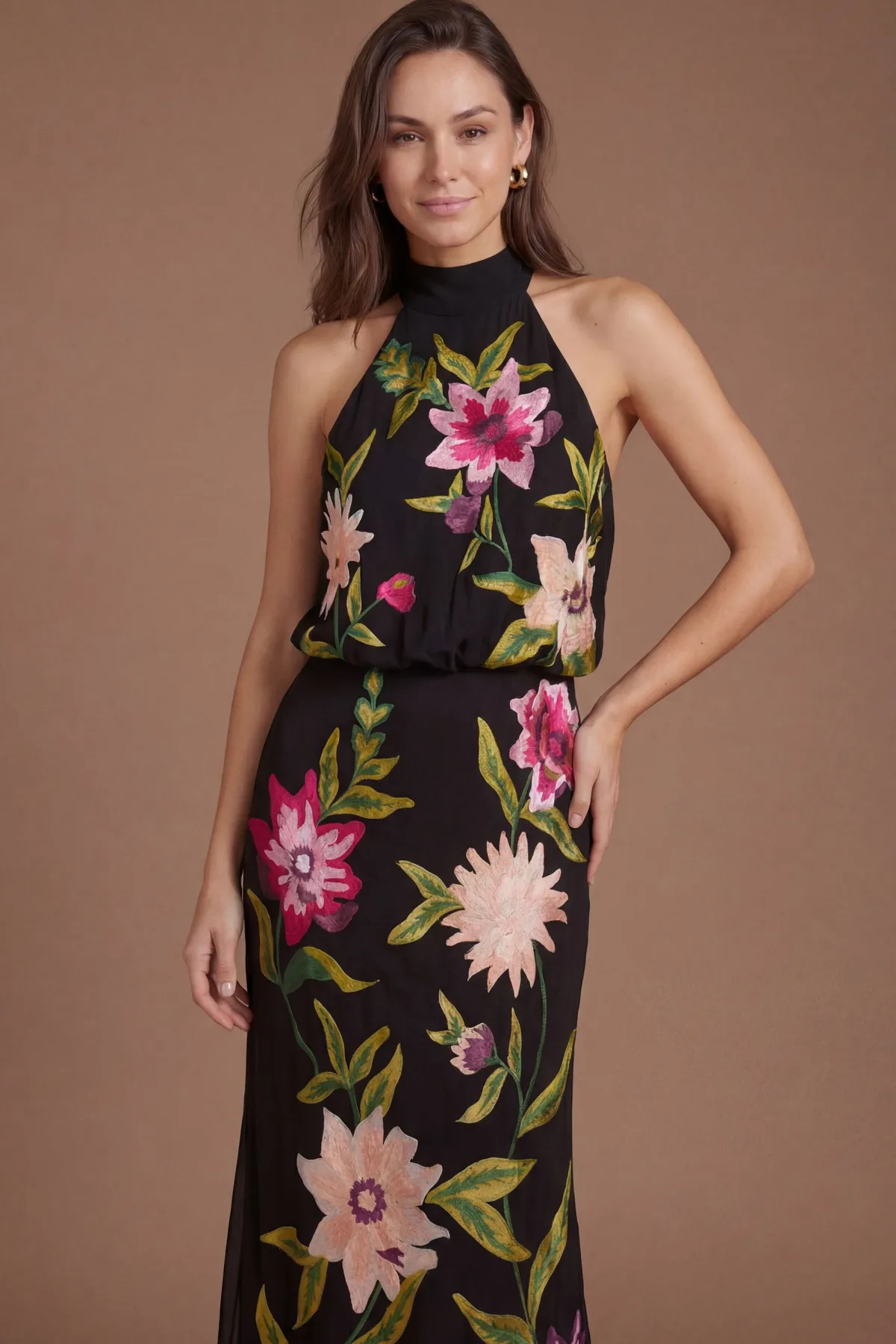 Coast Robe Midi À Col Montant Avec Broderie Florale<Femme Robes|Robes Mi-Longues