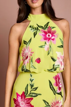 Coast Robe Midi Col Montant Avec Broderie Florale<Femme Robes|Robes Mi-Longues
