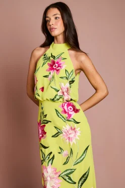 Coast Robe Midi Col Montant Avec Broderie Florale<Femme Robes|Robes Mi-Longues