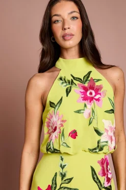 Coast Robe Midi Col Montant Avec Broderie Florale<Femme Robes|Robes Mi-Longues