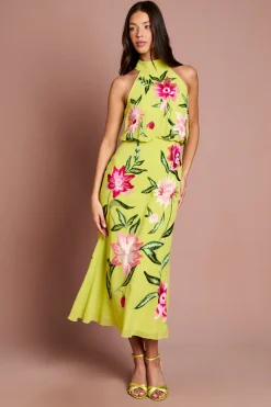 Coast Robe Midi Col Montant Avec Broderie Florale<Femme Robes|Robes Mi-Longues