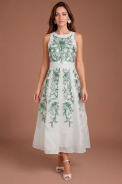 Coast Robe Midi À Col Montant Avec Détails De Panneaux Brodés<Femme Robes|Robes Mi-Longues