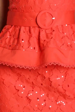 Coast Robe Midi En Dentelle À Sequins<Femme Robes Mi-Longues|Satin Et Dentelle