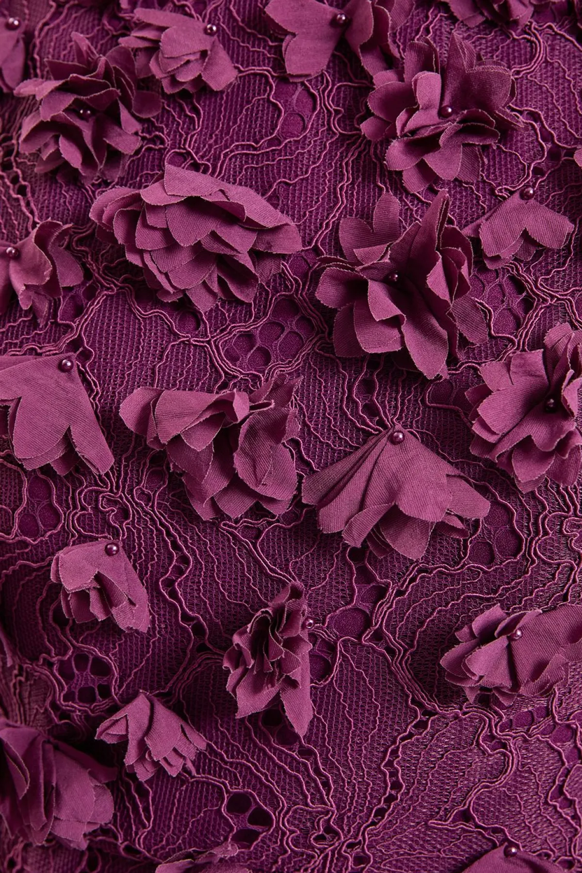 KarenMillen Robe Midi En Dentelle Tissée Avec Appliqués De Pétales Petite<Femme Toutes Les Robes|Robes Mi-Longues