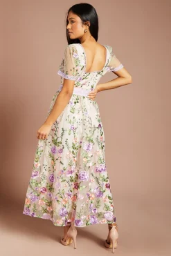 Coast Robe Midi En Mesh Brodé Avec Détail De Bordure En Dentelle Petite Taille<Femme Toutes Les Robes|Robes Mi-Longues