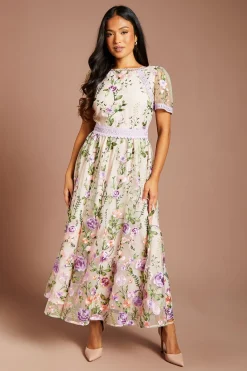Coast Robe Midi En Mesh Brodé Avec Détail De Bordure En Dentelle Petite Taille<Femme Toutes Les Robes|Robes Mi-Longues
