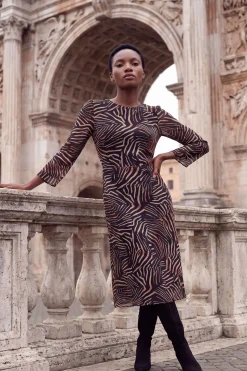 Robe Midi En Mesh À Imprimé Zèbre Avec Manches Évasées