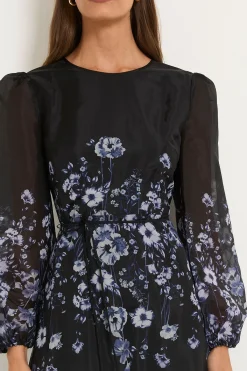 Wallis Robe Midi En Organza À Motif Floral Placé<Femme Robes Mi-Longues|Robes À Manches Longues