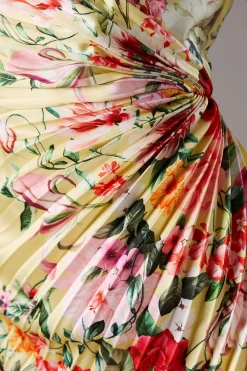 Coast Robe Midi Florale Plissée Lisa Tan avec Détail Plissé<Femme Robes Mi-Longues|Robes