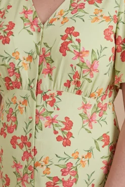 Dorothy Perkins Robe Midi Grande Taille À Imprimé Avec Boutonnage Devant, Manches Papillon Et Dos Noué<Femme Robes|Robes Mi-Longues