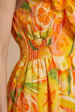 Robe Midi Imprimée À Motif Fruits Avec Encolure À Volants Et Détails En Dentelle