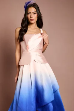 Coast Robe Midi Lisa Tan À Imprimé Ombré Floral 3D<Femme Robes|Robes Mi-Longues