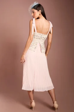 Coast Robe Midi Lisa Tan À Jupe Plissée En Mesh Brodé<Femme Robes|Robes Mi-Longues