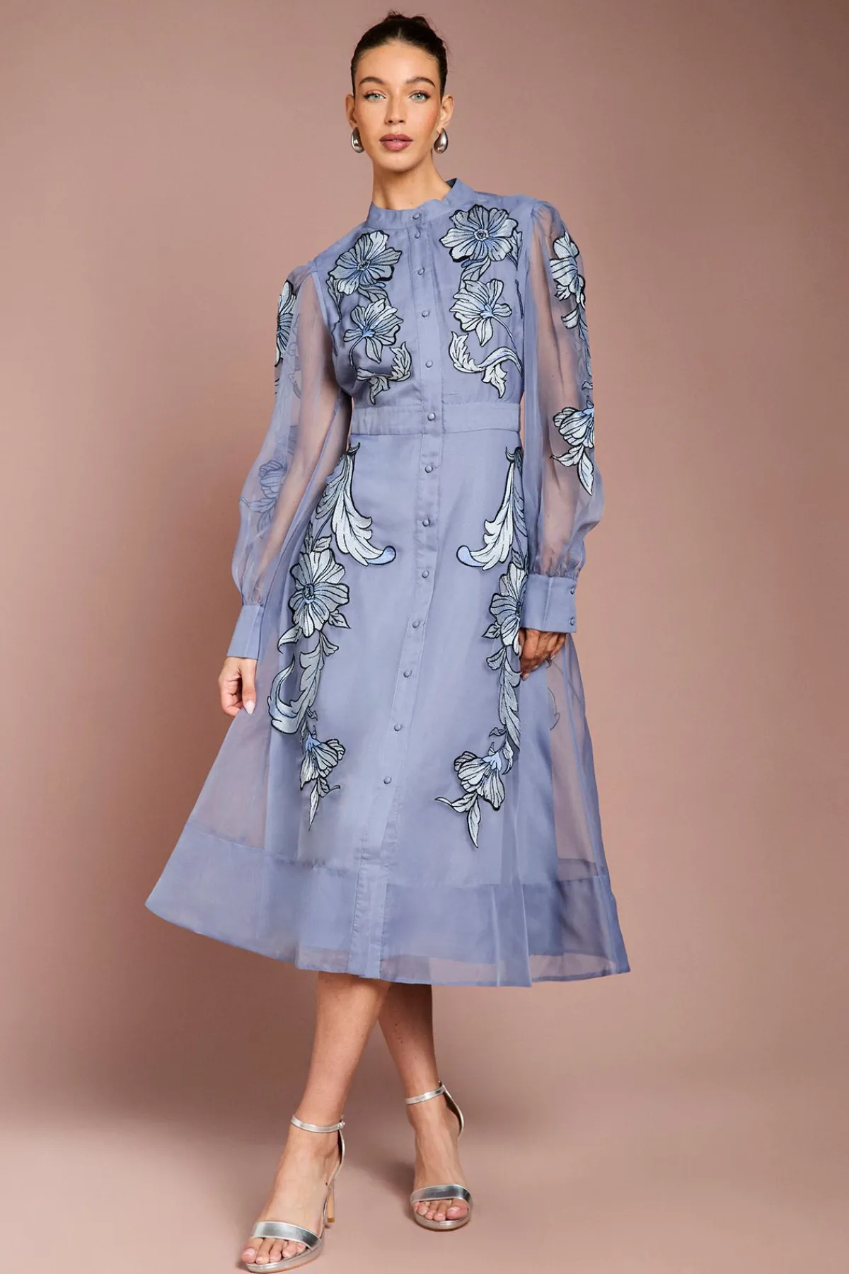 Coast Robe Midi À Manches Longues Avec Broderie Positionnée<Femme Robes Mi-Longues|Robes À Manches Longues