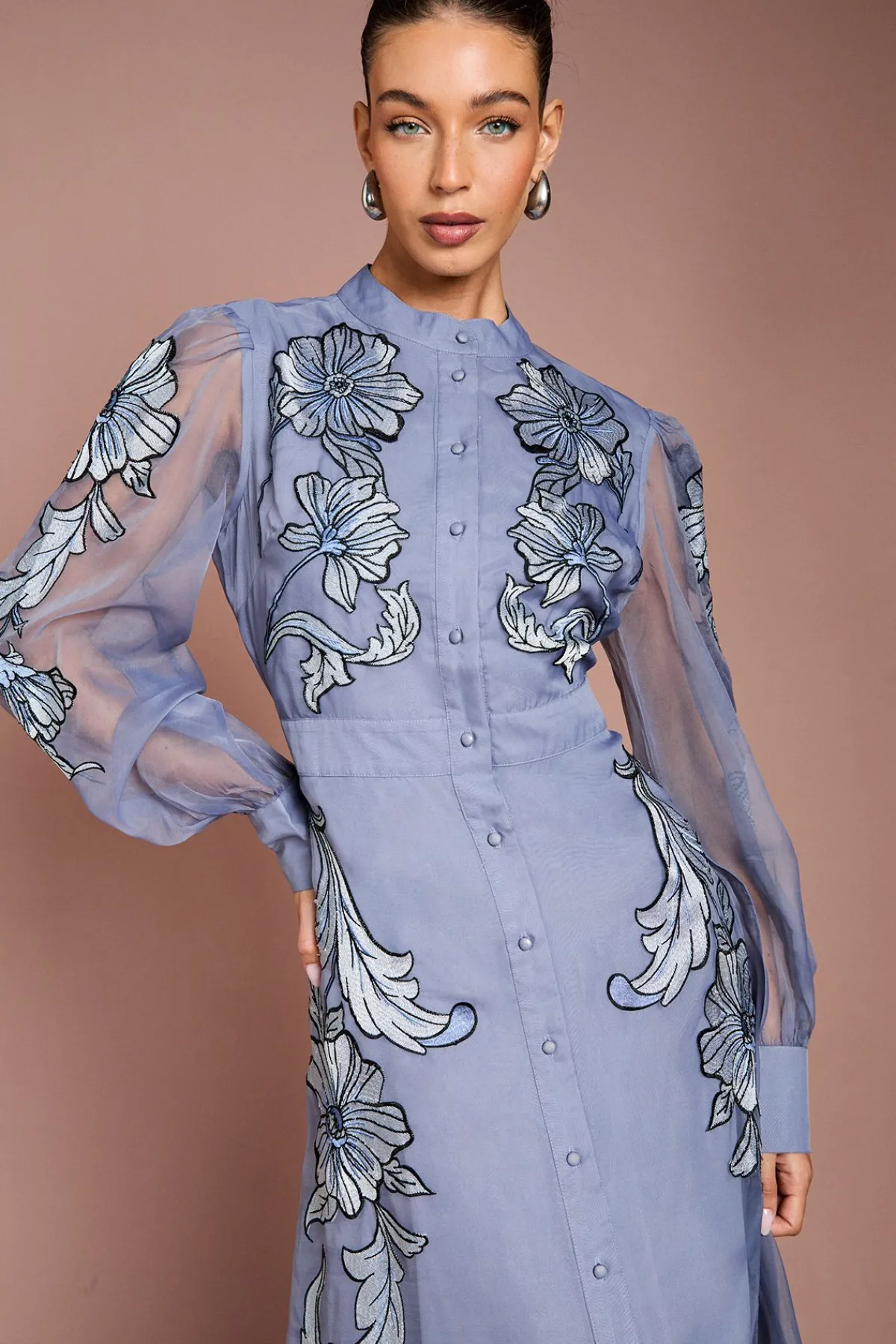 Coast Robe Midi À Manches Longues Avec Broderie Positionnée<Femme Robes Mi-Longues|Robes À Manches Longues