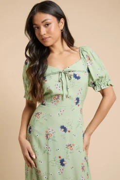 Dorothy Perkins Robe Midi Petite À Col Orné De Dentelle<Femme Toutes Les Robes|Robes Mi-Longues