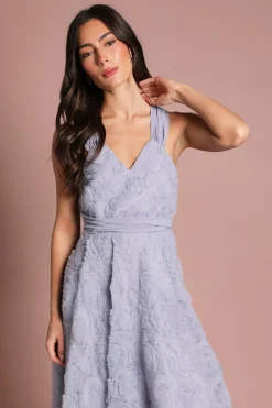 Coast Robe Midi Texturée À Broderies Florales En Mesh<Femme Robes|Robes Mi-Longues