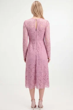 Robe Midi Évasée En Dentelle Petite Taille