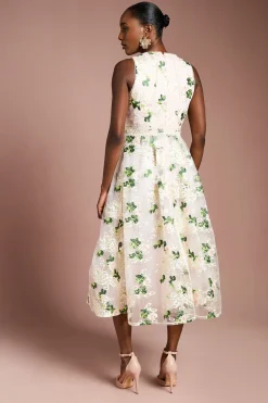 Coast Robe Midi Évasée à Maille Brodée et Finitions Dentelle<Femme Toutes Les Robes|Robes Mi-Longues