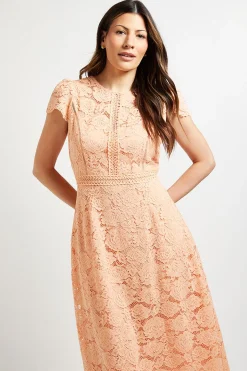 Robe Mi-Longue Ajustée et Évasée en Dentelle