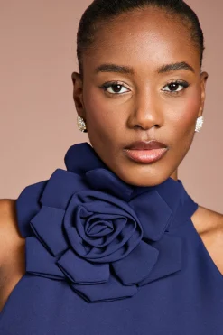Coast Robe Mi-Longue à Col Montant avec Détail Corsage<Femme Robes|Robes Mi-Longues